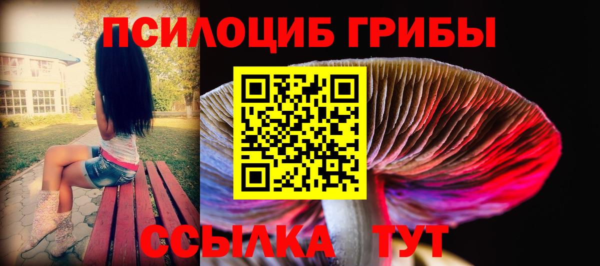 Галлюциногенные грибы Psilocybine cubensis Миллерово