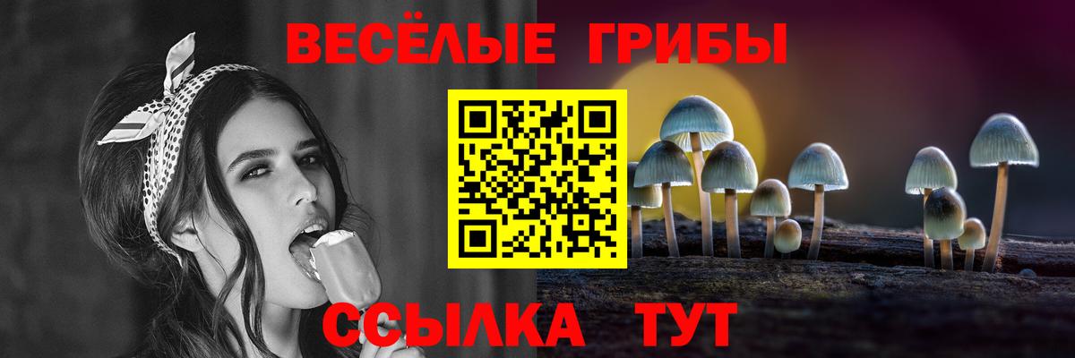 Миллерово  Псилоцибиновые грибы Psilocybe  Псилоцибиновые грибы Magic Shrooms  Вход с VPN 